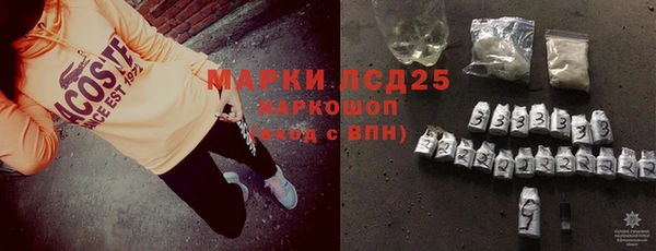 прущие грибы Сосновоборск